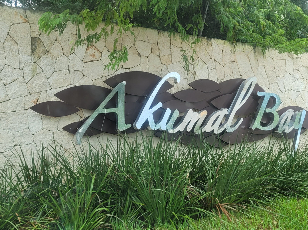 Akumal Bay-艾库玛尔必去景点