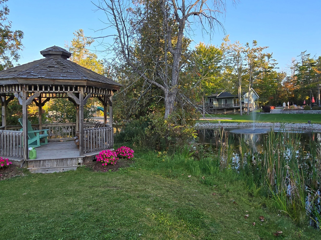 Pine Vista Resort主图