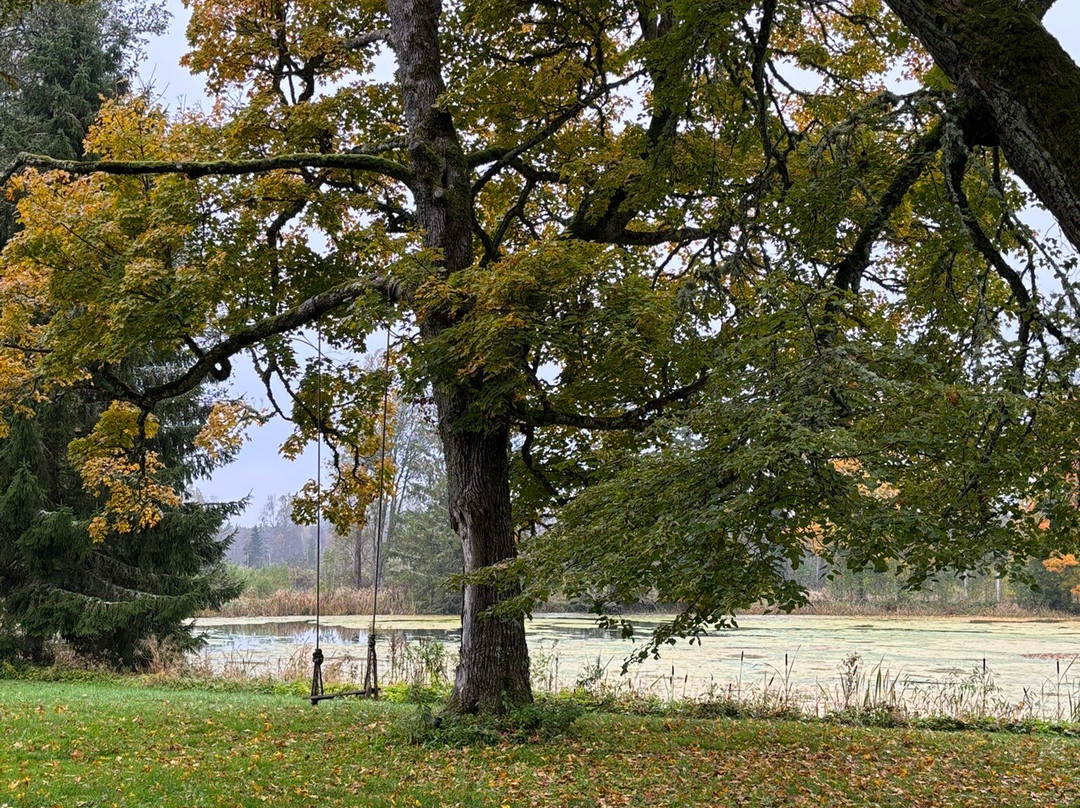 Maidla Nature Resort主图