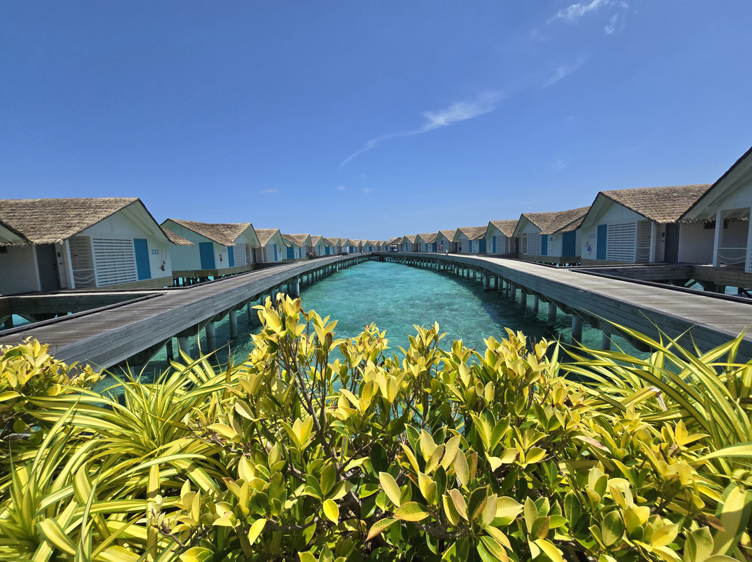 Cora Cora Maldives主图