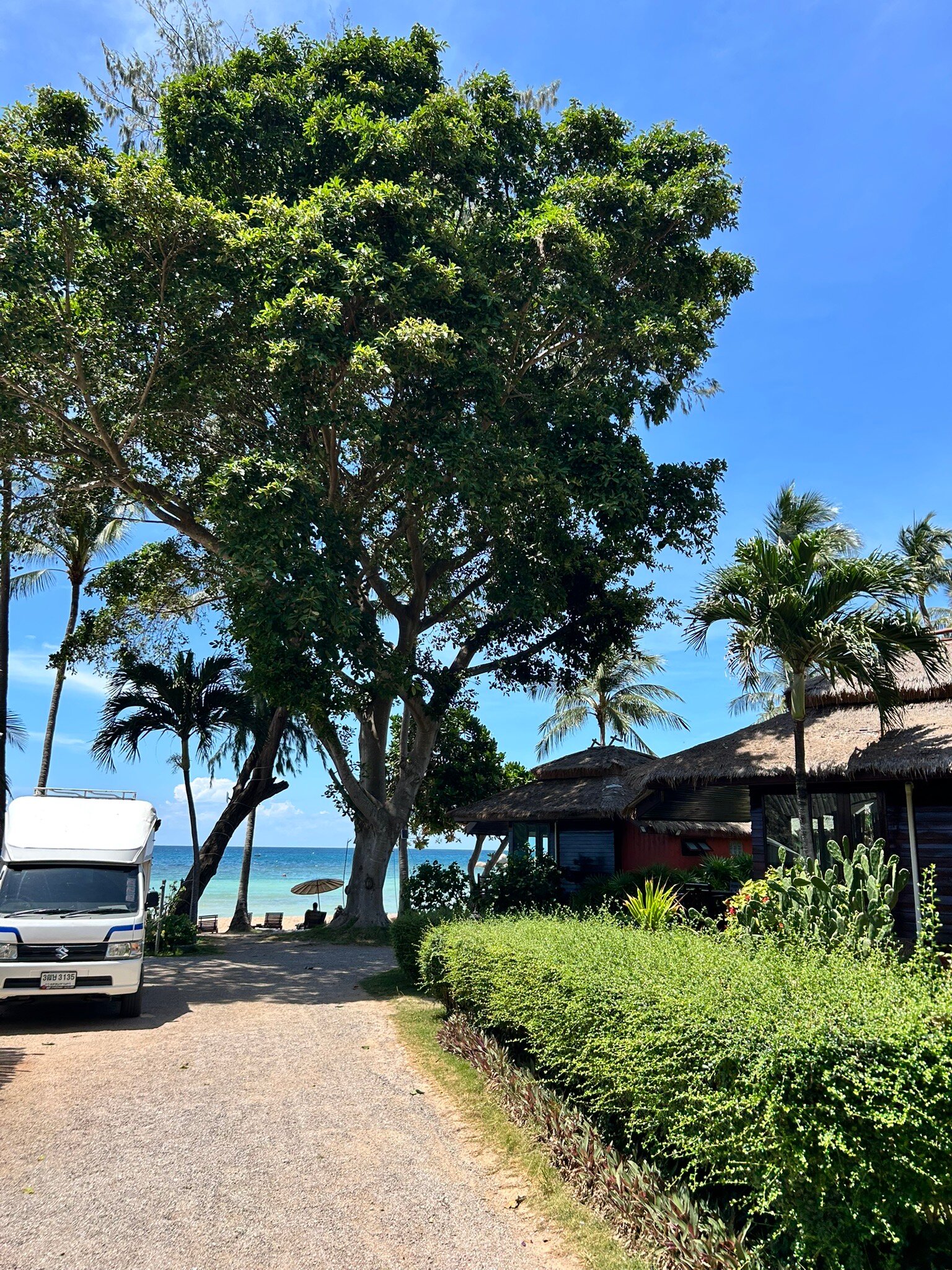 Palm Leaf Resort-官方