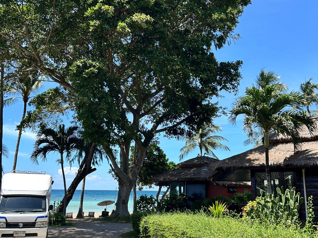 Palm Leaf Resort主图