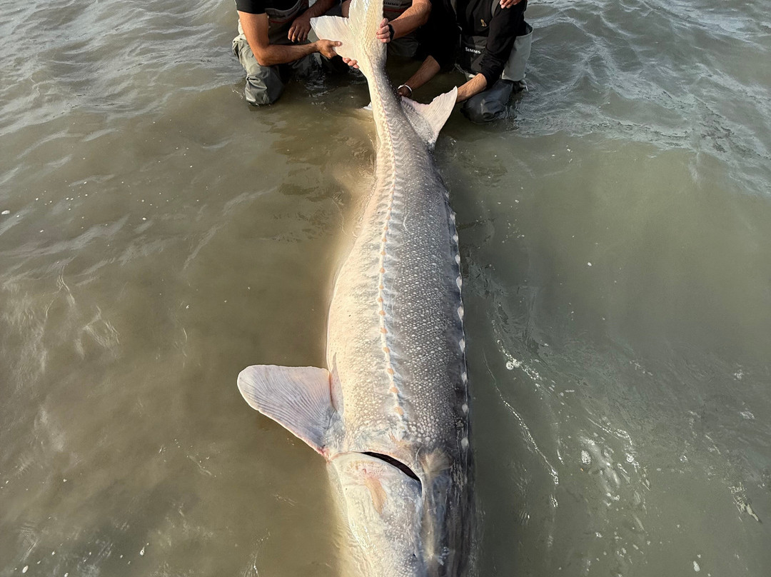 Mainlanders Sport Fishing-奇利瓦克必去景点