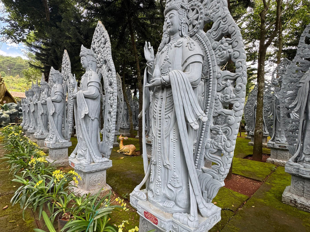 Mr. Peace's Tour Dalat-大勒必去景点