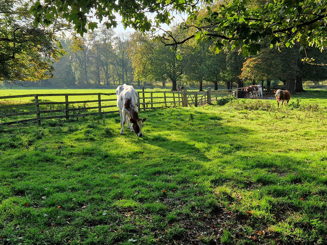 Beningbrough - National Trust-Beningbrough必去景点