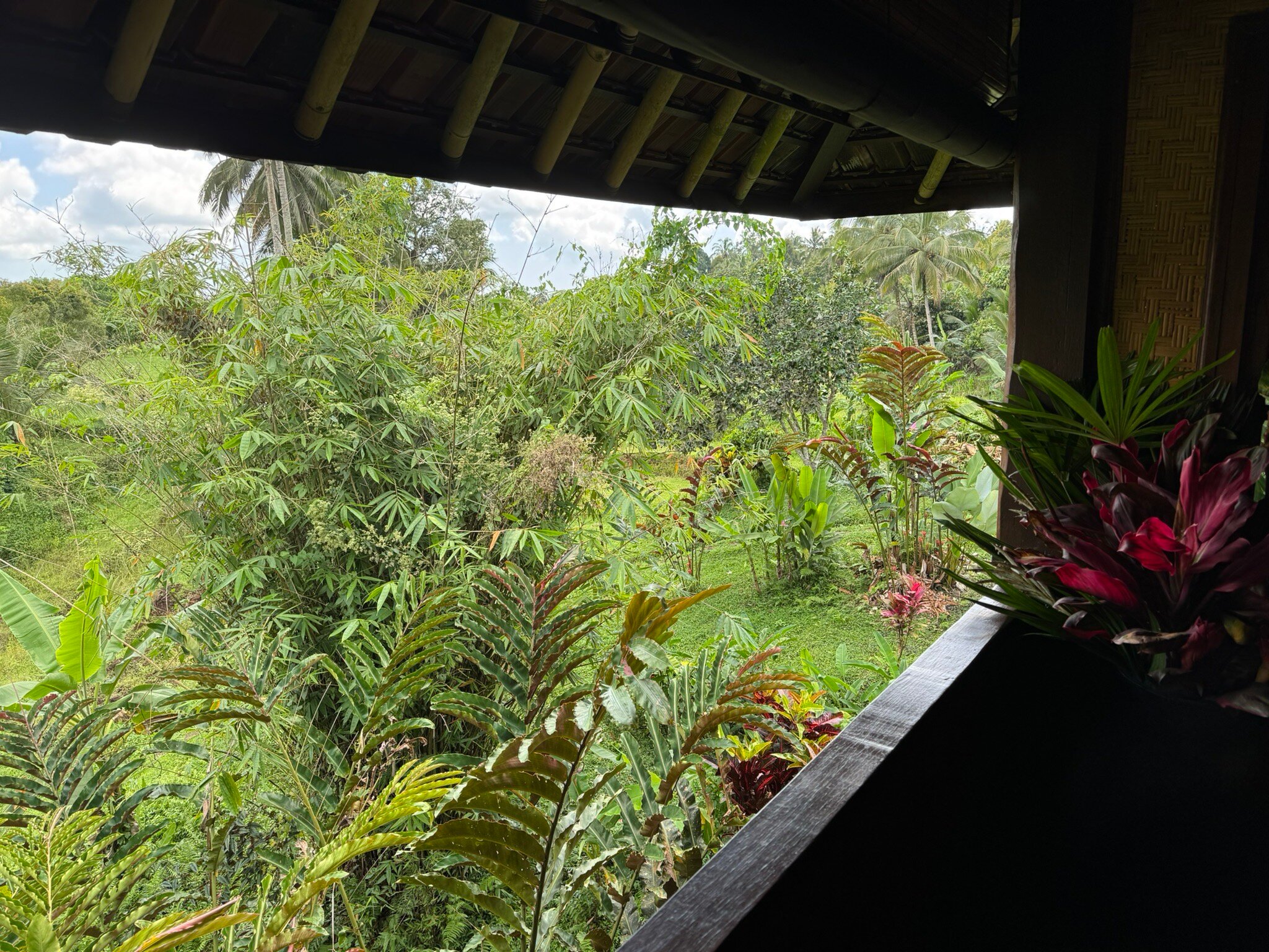 巴厘岛生态度假村-官方