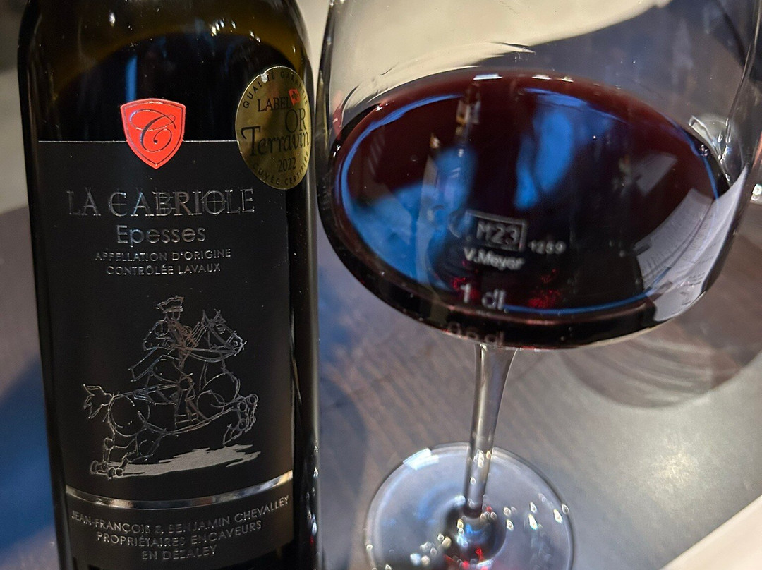 Lavaux Vinorama-Rivaz必去景点