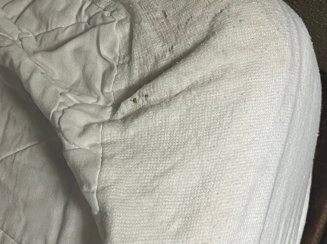 Quality Inn & Suites Boone - University Area主图