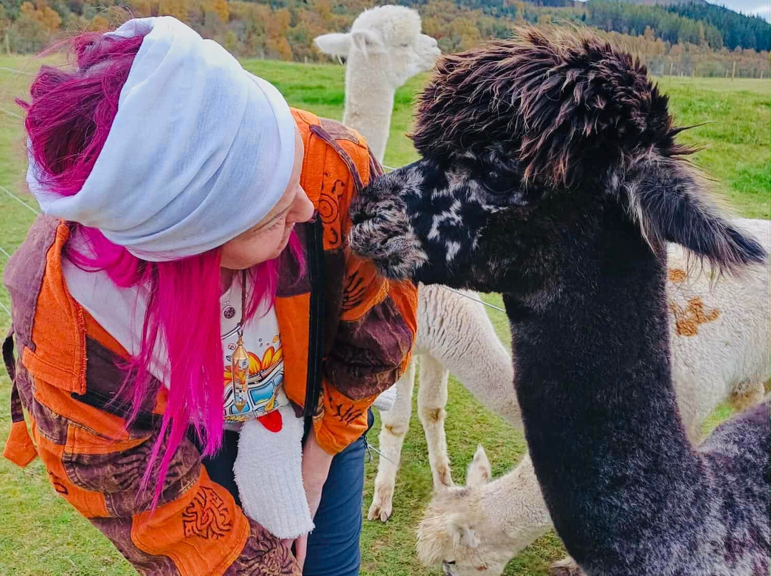 Invercannich Farm-Cannich必去景点