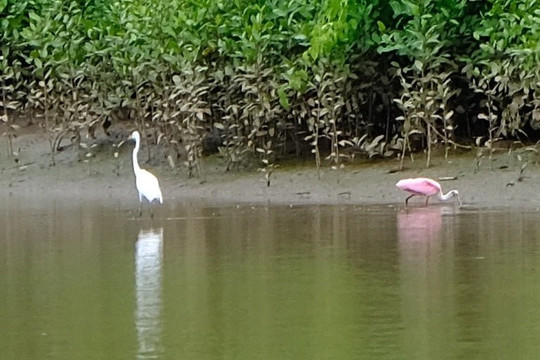Thumbs Up Tours-彭塔雷纳斯必去景点