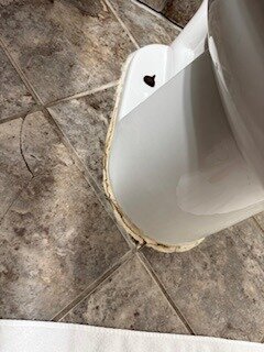 摩根顿贝斯特韦斯特SureStay酒店-官方