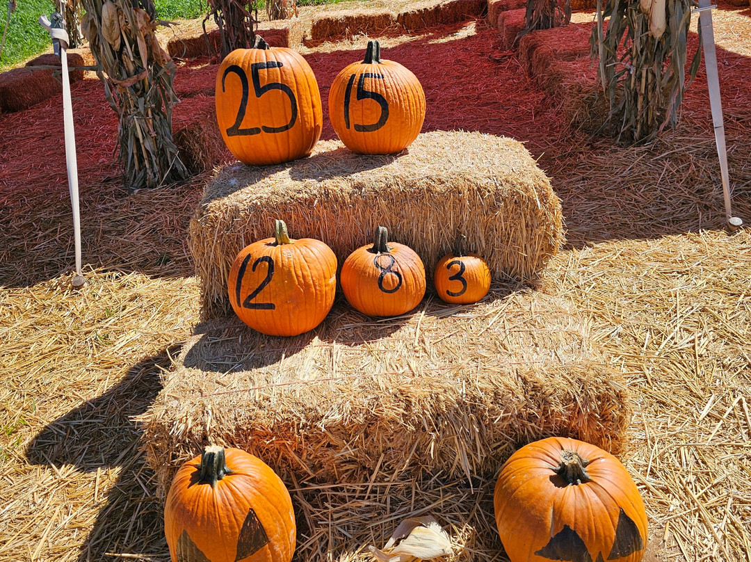 Apple Annie's Orchard-Willcox必去景点