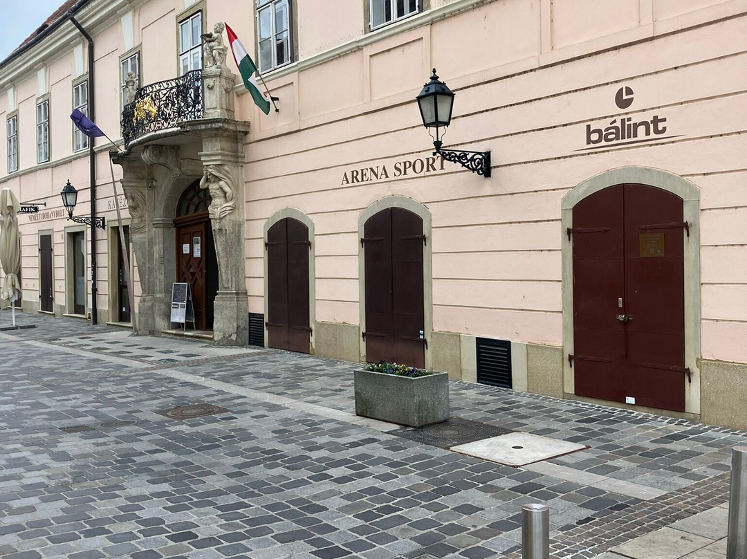 Gyor Old Town Area-焦尔必去景点