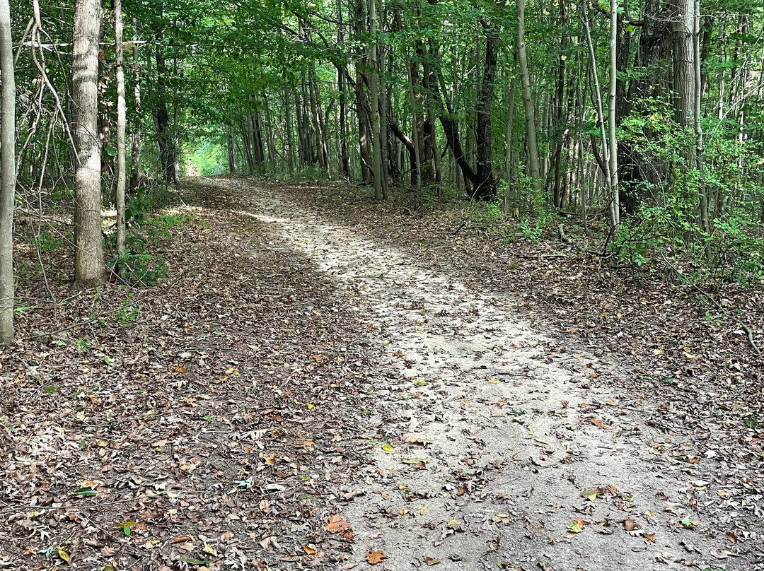 Castle In The Country Bed & Breakfast Inn主图