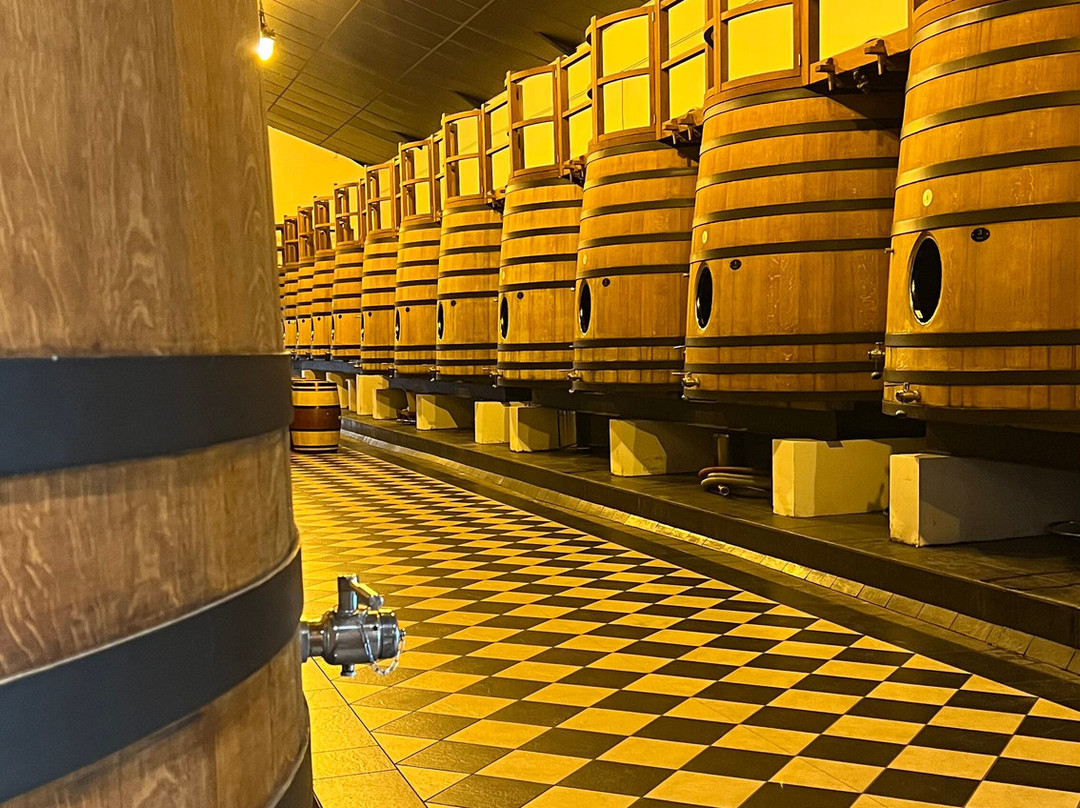 Château Pape Clément-Pessac必去景点