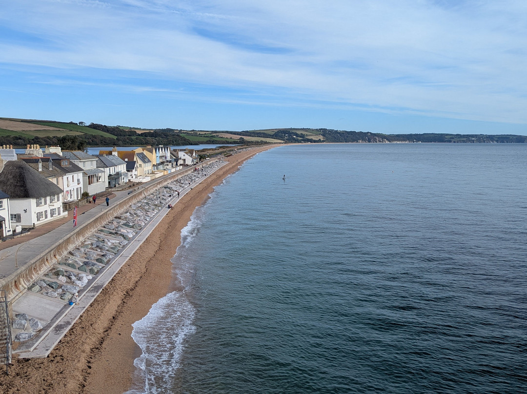 Unique Devon Tours-牛顿阿伯里必去景点