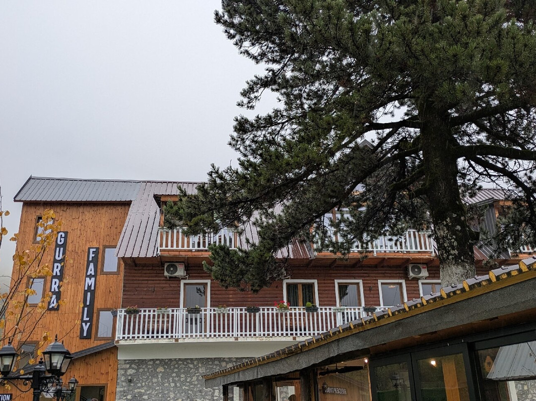Gurra Family Guesthouse主图