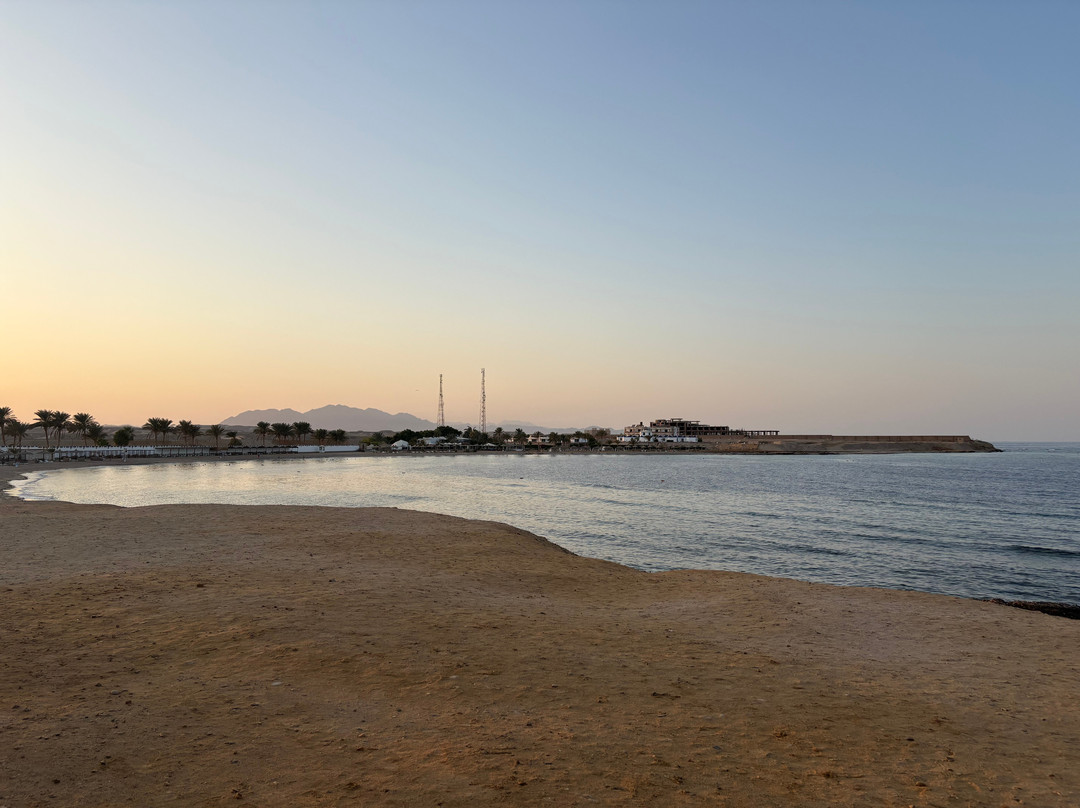 ORCA Dive Club Coral Garden