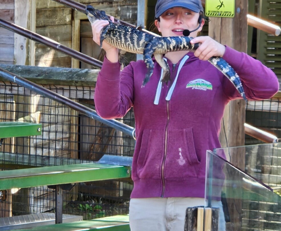 Alligator Adventure-美特尔海滩必去景点