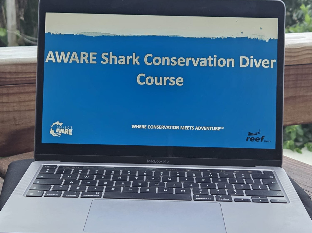 Gozo Azul Diving-Ponta do Ouro必去景点