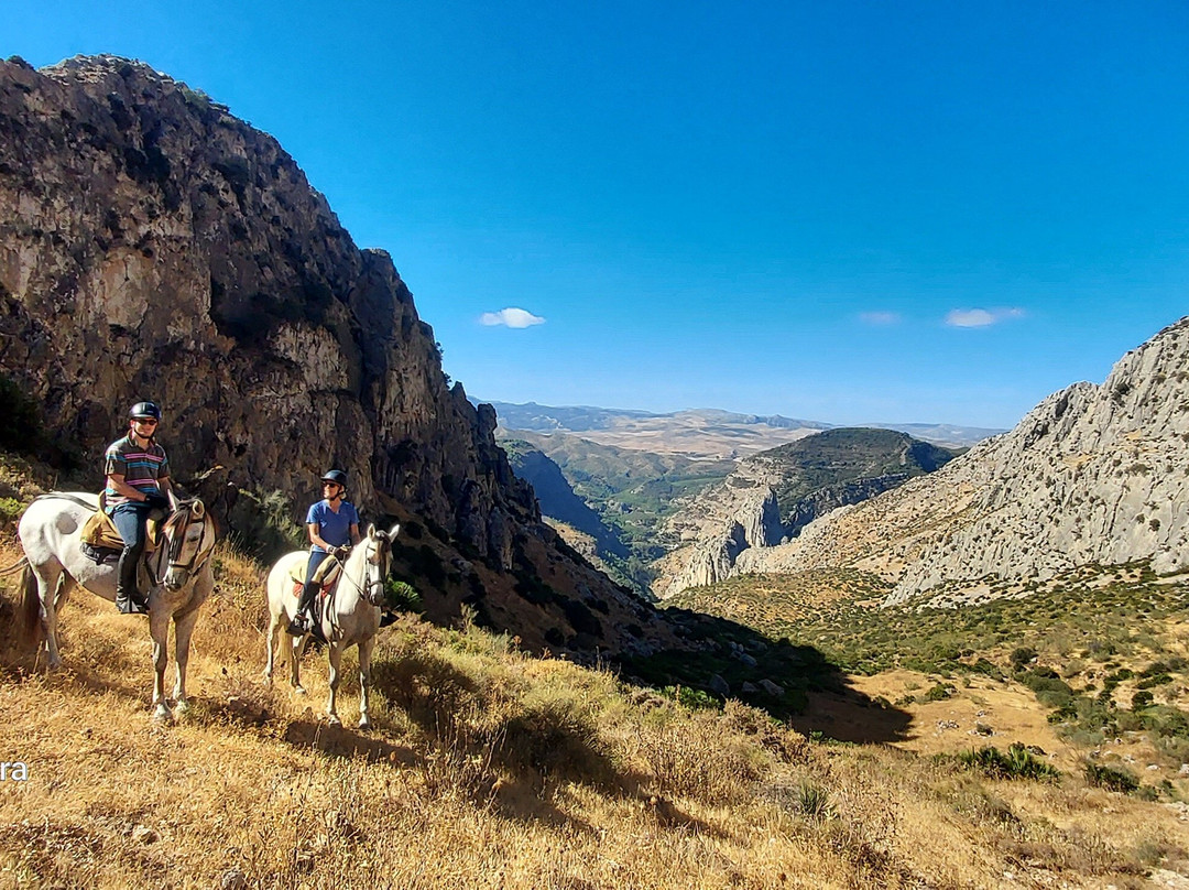 Horse Riding El Chorro-El Chorro必去景点