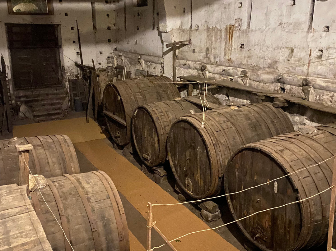 Puleera Boutique Hotel主图