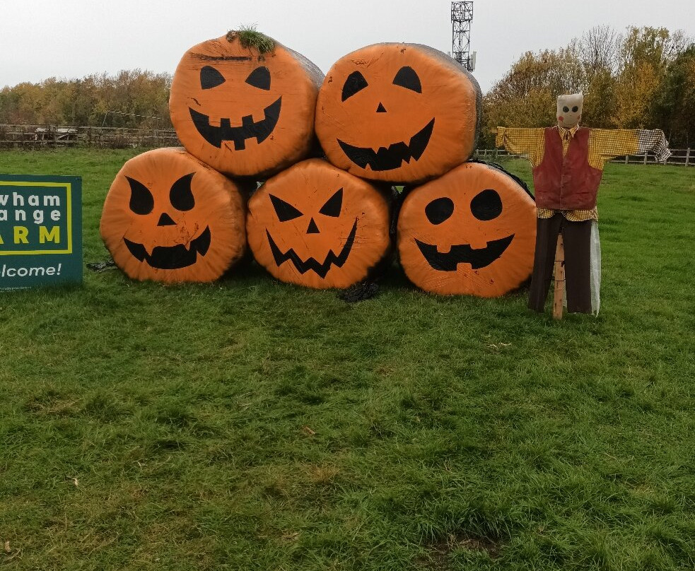 Newham Grange Farm-米德尔斯堡必去景点
