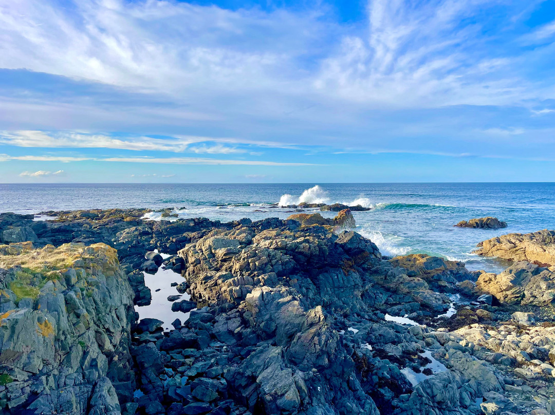 Portsoy Harbour-Portsoy必去景点