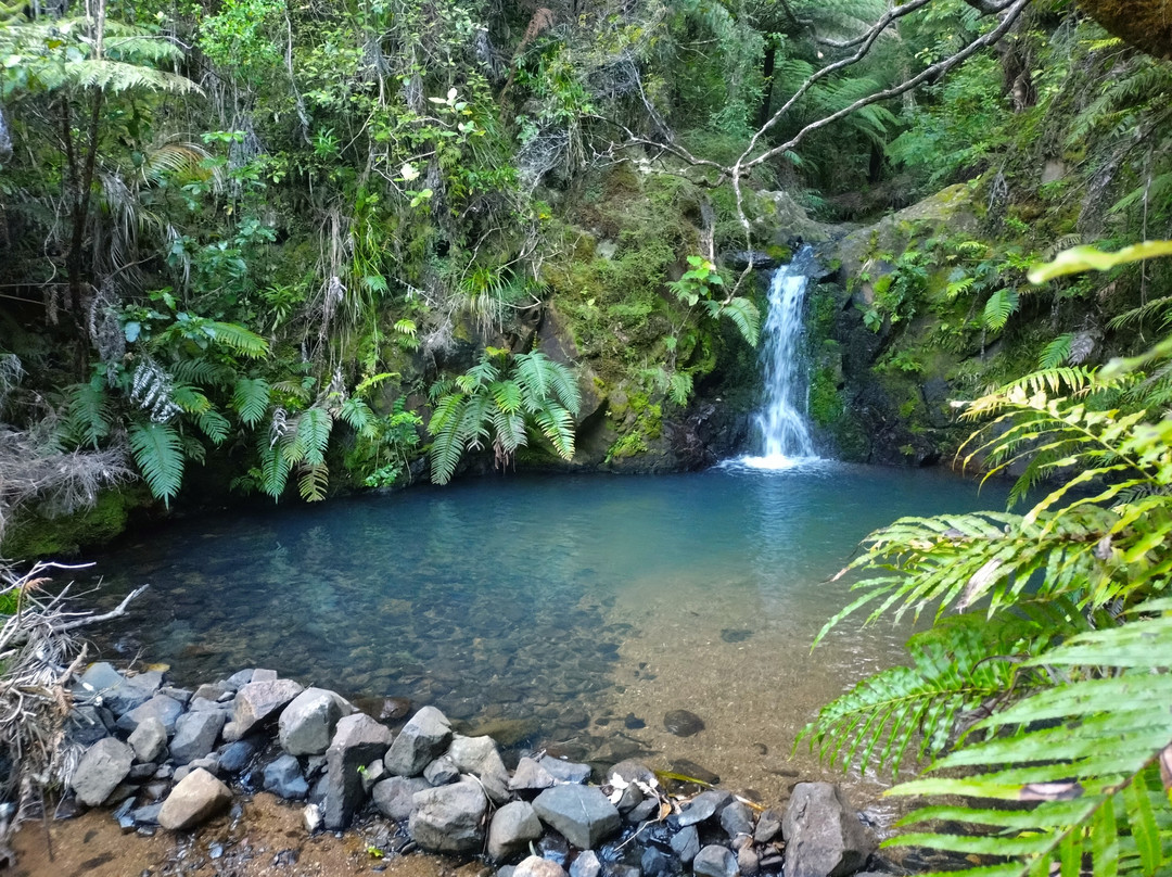 Motubikes-Great Barrier Island必去景点