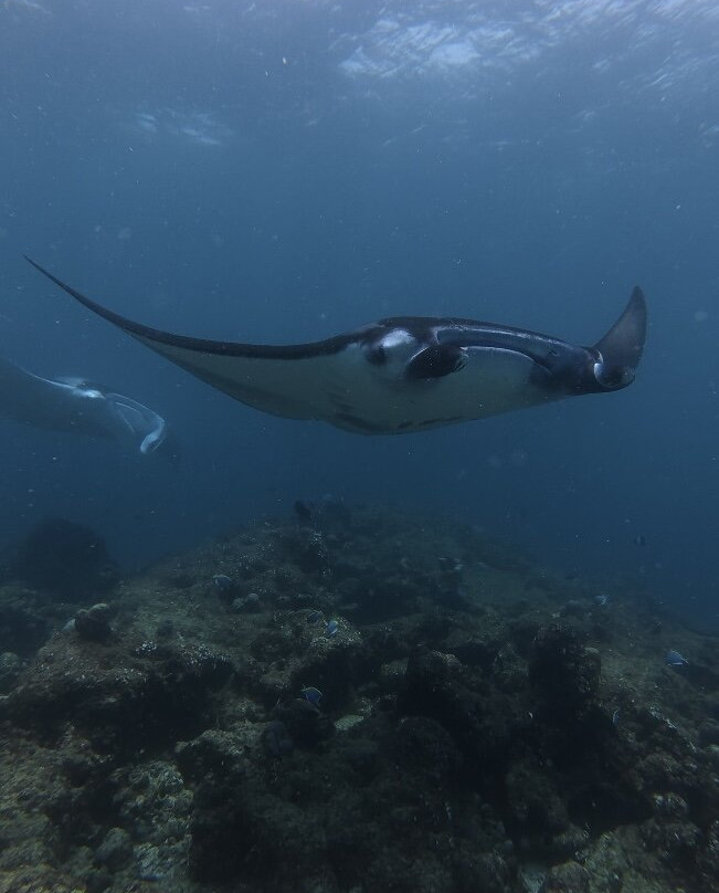 Fehi Velaa Dive-Dhonfanu必去景点
