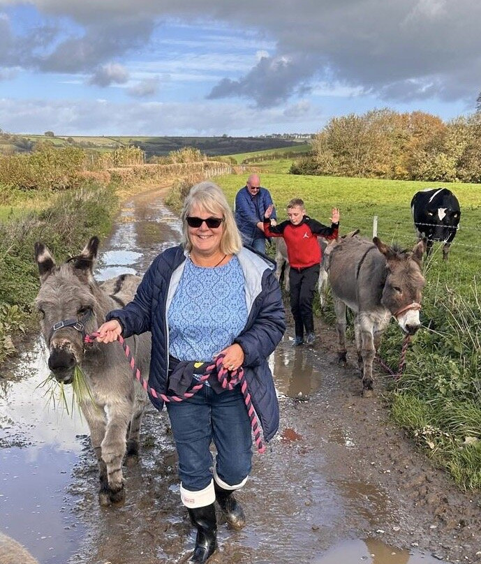 Donkey Walking Adventures-Beaminster必去景点