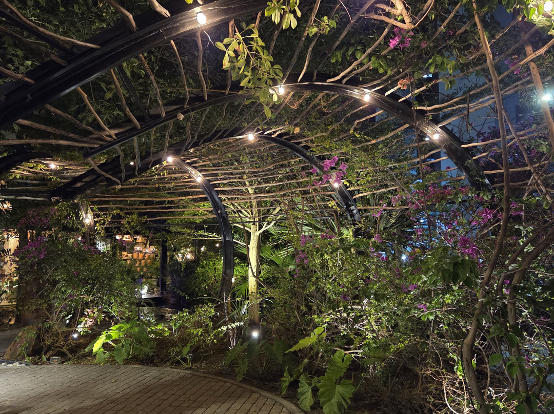 Ville Des Plantes Open Mall-Joao Pessoa必去景点