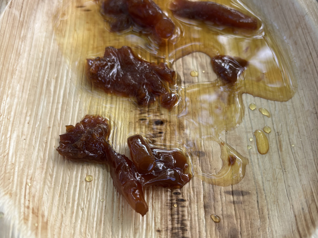 Truffle Hunting-卡兰巴卡必去景点