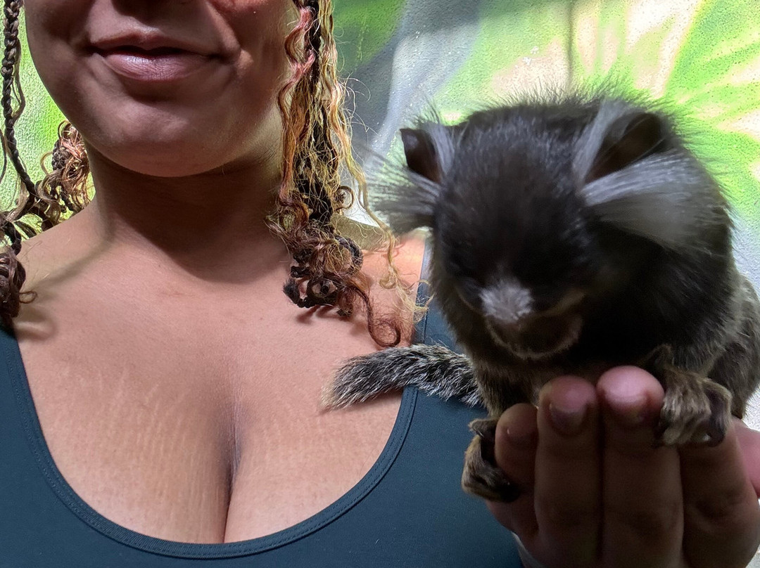 Pai Pai Ecotourism Park-恩塞纳达必去景点