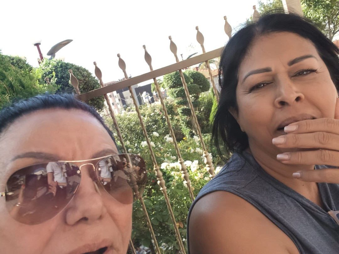 Erettz Dafna Travel Hotel主图