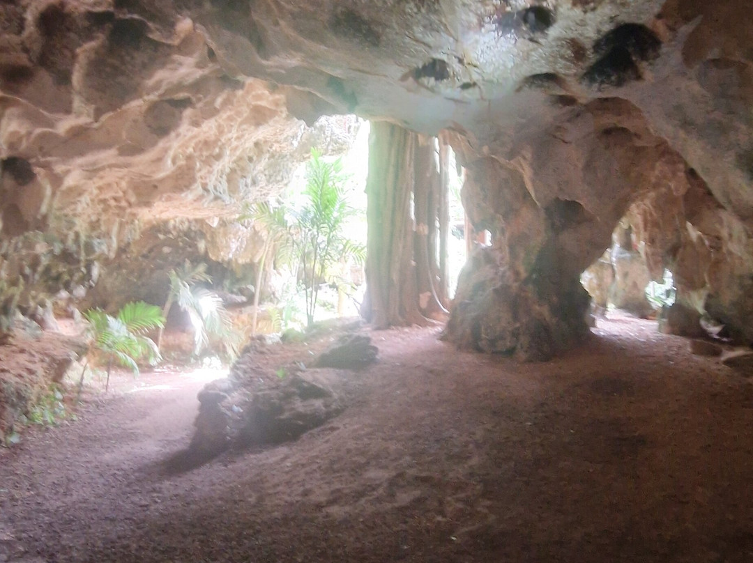 Cayman Crystal Caves-大开曼岛必去景点