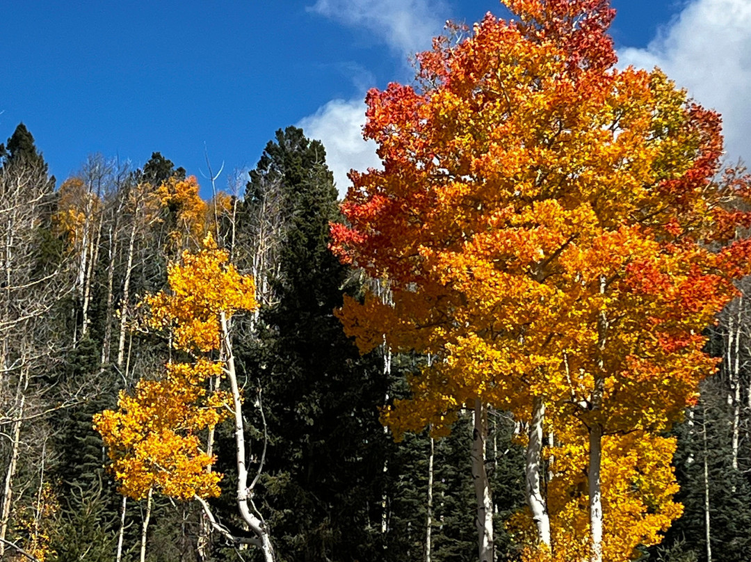 Aspen Vista Trail-圣菲必去景点