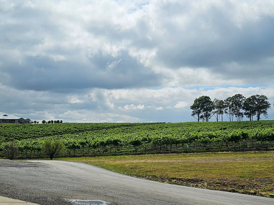 Leogate Estate Villas主图