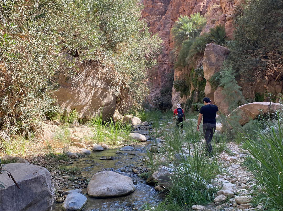 Jordan Hiking Guide-Dana必去景点