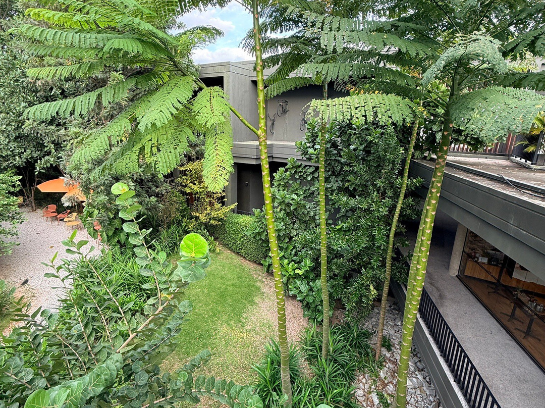 Wheeler Bed &Bike主图