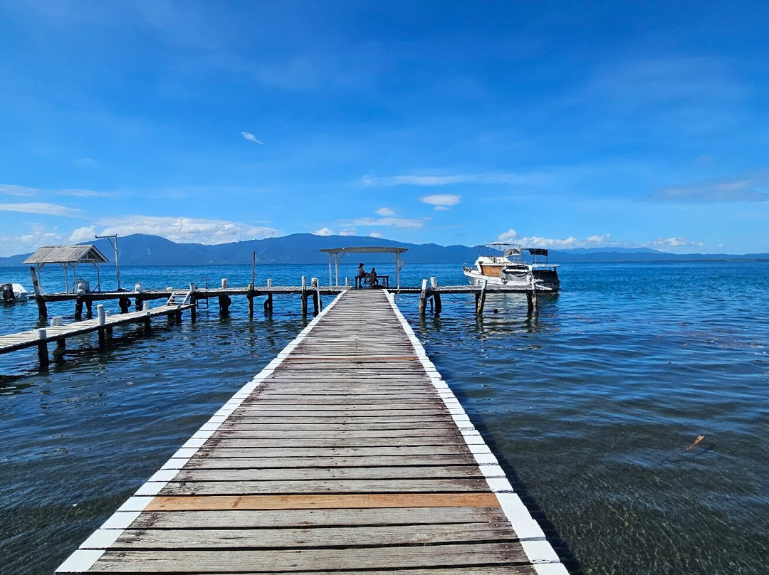 Driftwood Resort主图