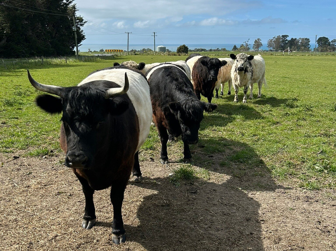 Hapuku Kitchen-Kaikoura必去景点