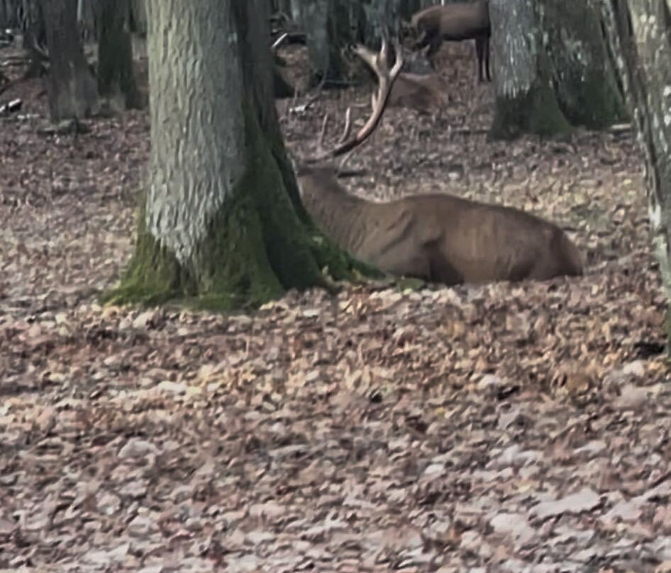 Espace Rambouillet-Rambouillet必去景点