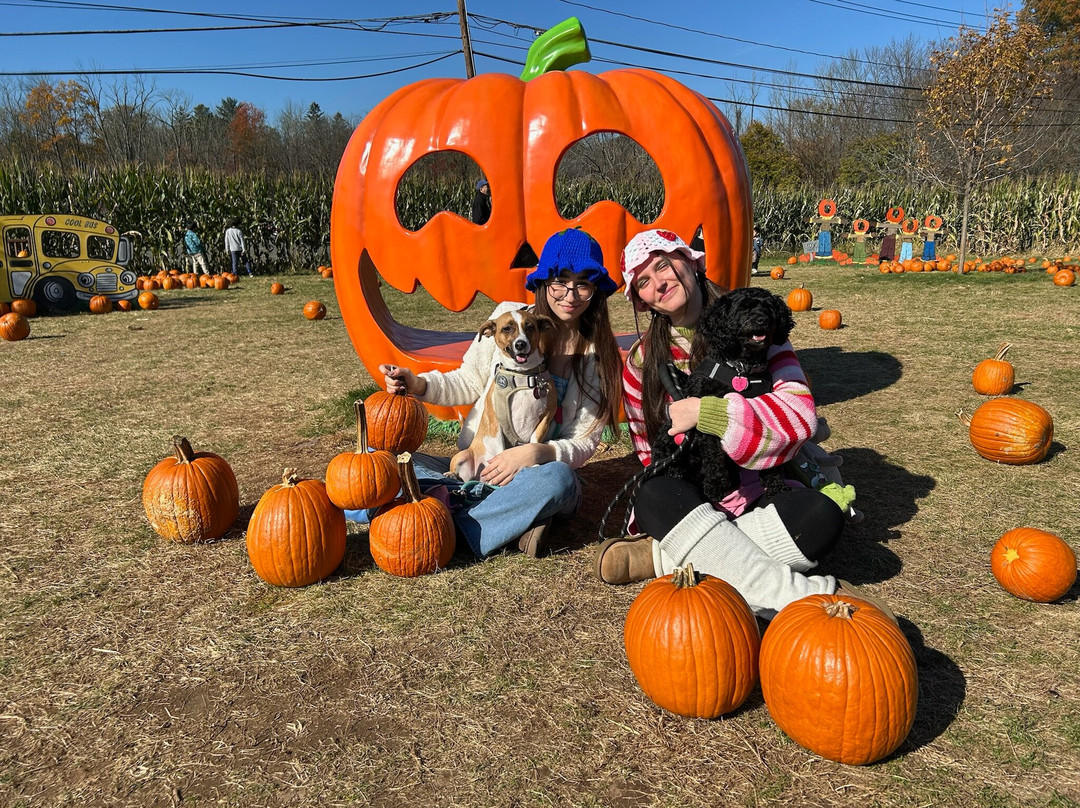 Secor Farms-莫沃必去景点