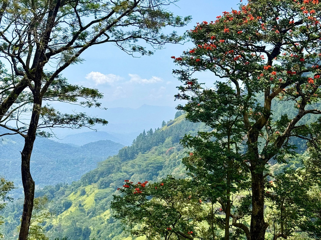 Sri Lanka Knuckles Trekking-康提必去景点