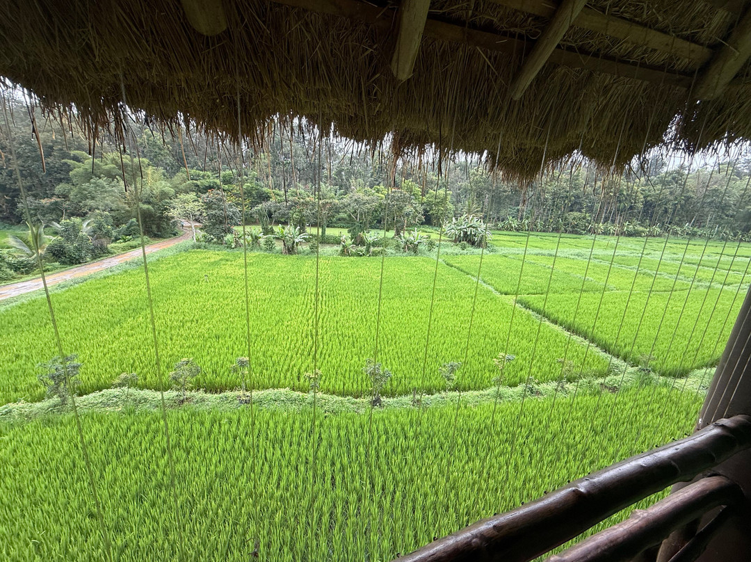 Evolve Back, Coorg主图