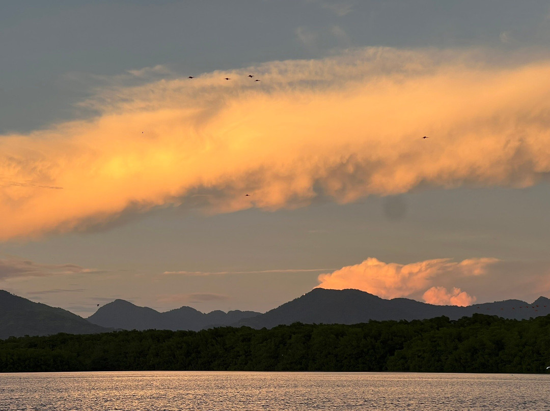 Island Experiences - Eco-Cultural Tours & Yacht Charters-西班牙港必去景点