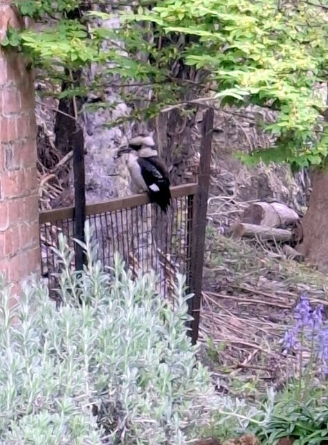 Windsor House Walhalla主图