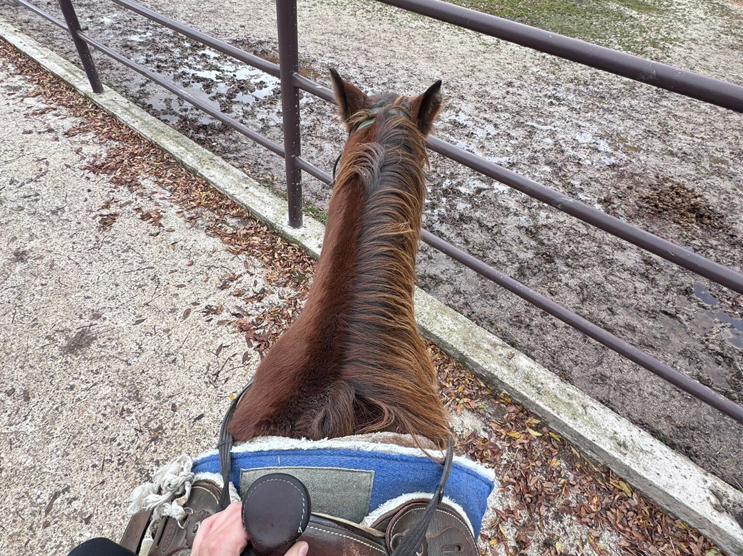 Il Ranch - Maneggio-Scanno必去景点