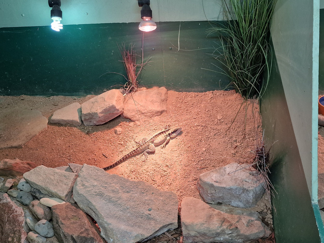 Koala Park Sanctuary-West Pennant Hills必去景点